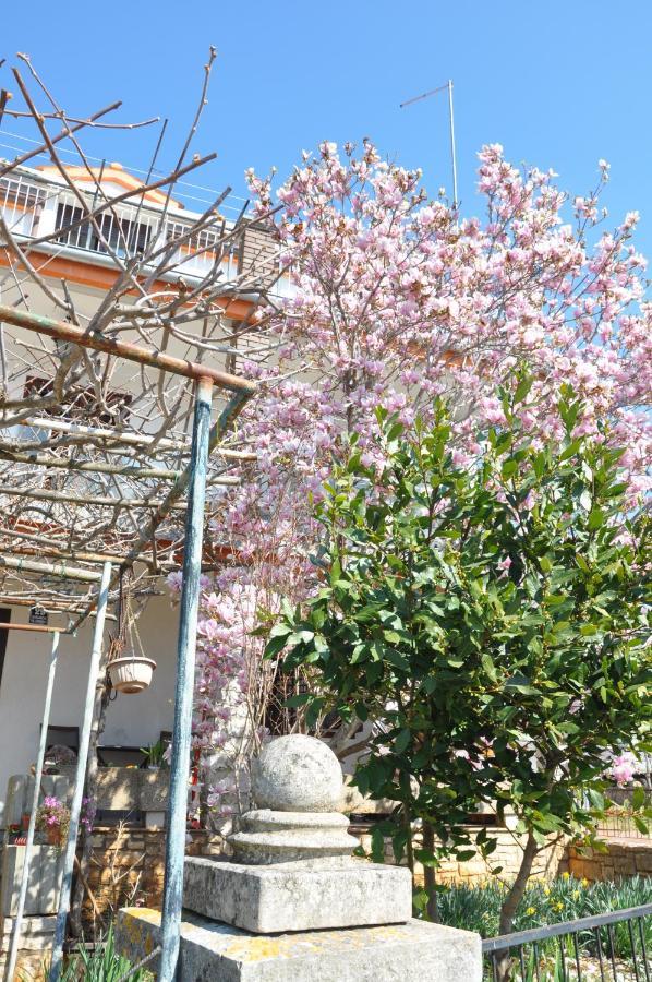 Apartman Mirna Rovinj Luaran gambar