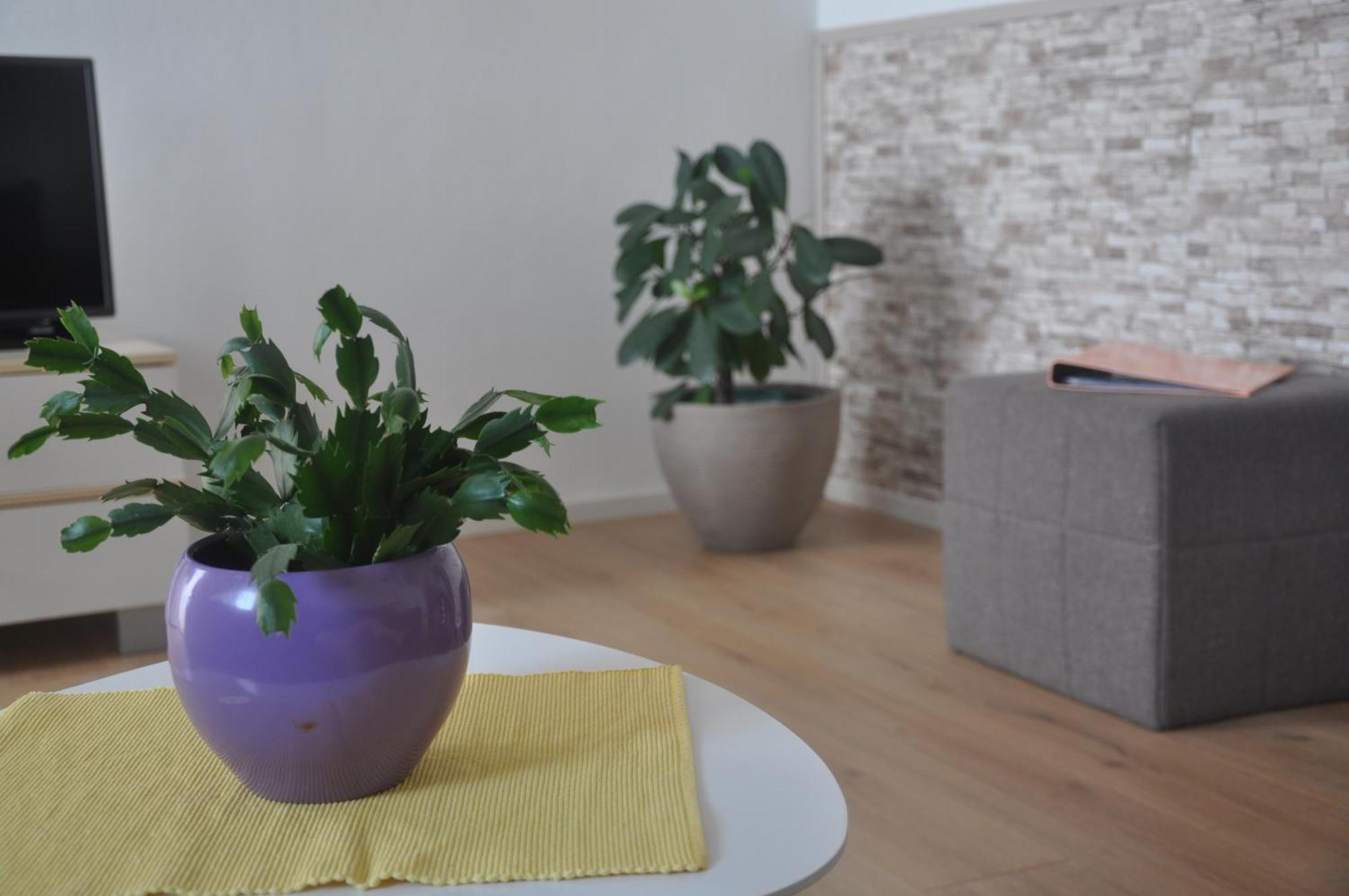 Apartman Mirna Rovinj Luaran gambar